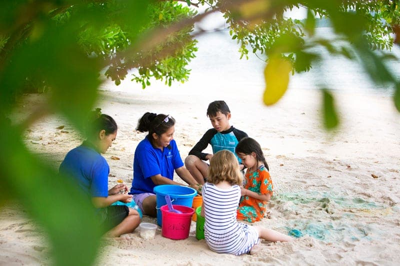 Eco-Friendly Bliss: Experience the Best Resort in Batam with Telunas Resorts