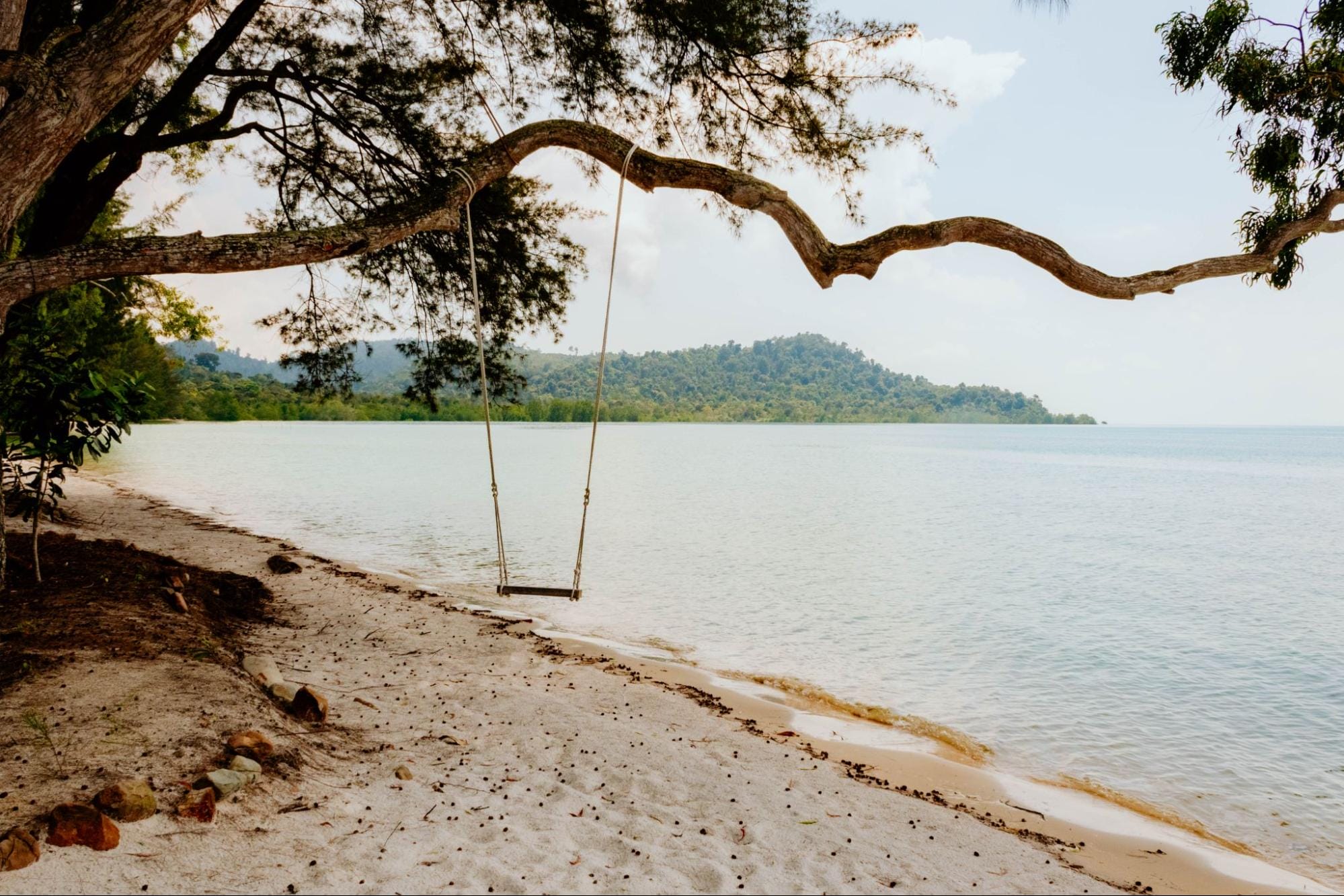 a moment of peace under the tree on the beach side
